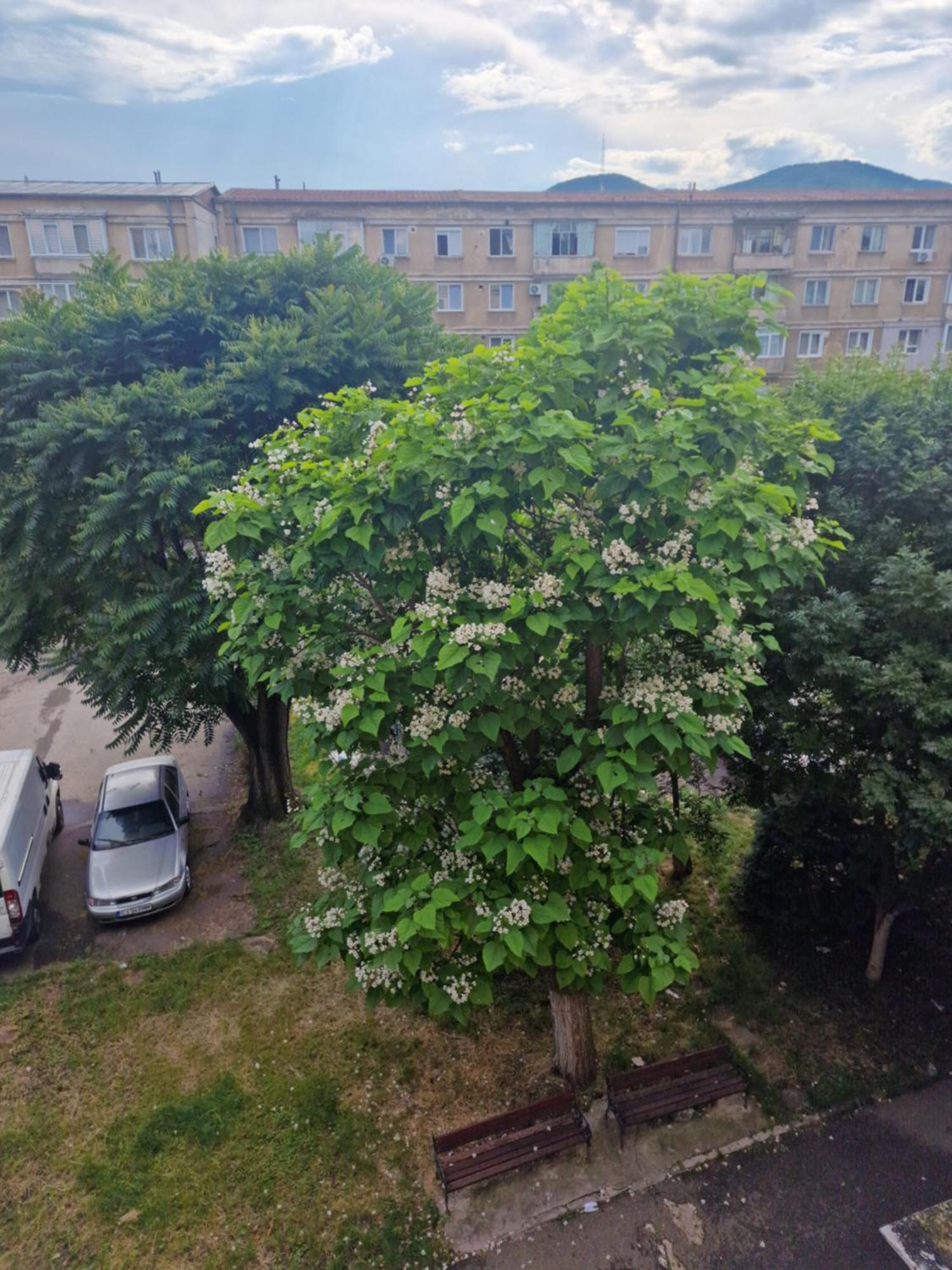 Apartament Apartament Central Deva Zewnętrze zdjęcie
